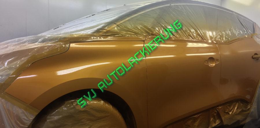 Renault Seitenwand Klarlack